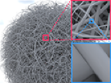 Discontinuity-Aware 2D Neural Fields teaser